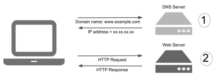 Ip Address And Different Parts Of Url Or Web Address -hsc