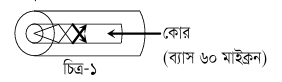 Fibre Optic Cable 