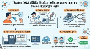 DNA টেস্টিং